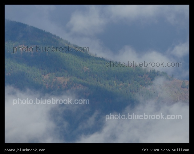 Forested Slopes in the Clouds - Corvallis MT