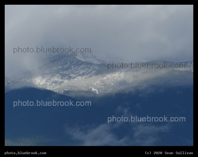 Arrival of Snow in the Mist - Corvallis MT