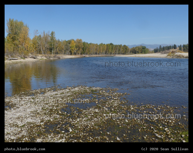 At a Stony Point - Lolo MT