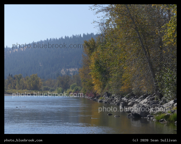 Along the Riverside - Lolo MT