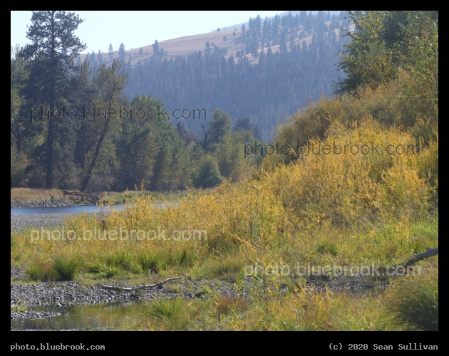 Patches of Autumn - Lolo MT
