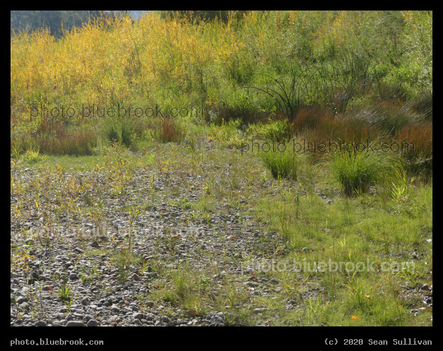 Rocky Ground - Lolo MT