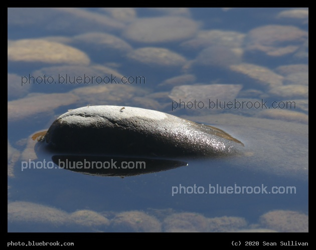 Stone Island - Lolo MT