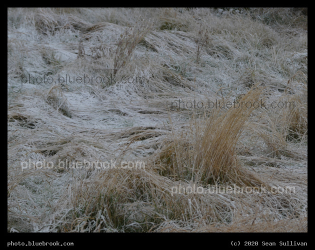 Frosted Yard - Corvallis MT
