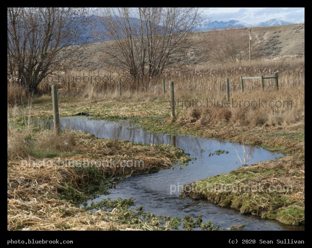 Path of Water - Corvallis MT