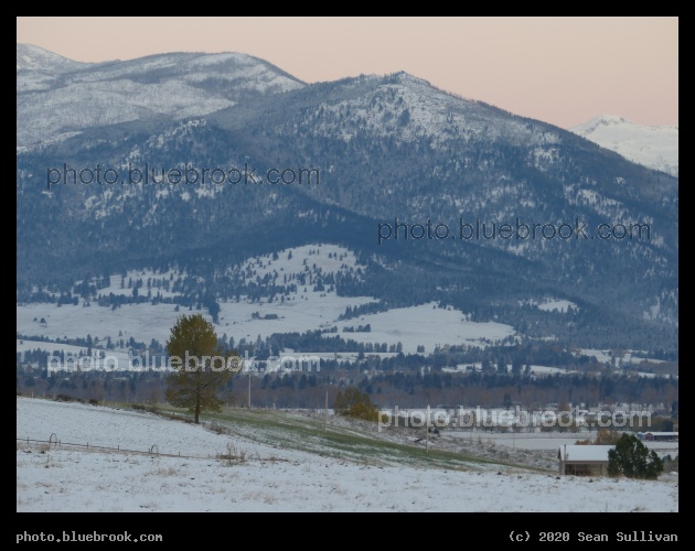 Snow on Green Pastures - Corvallis MT
