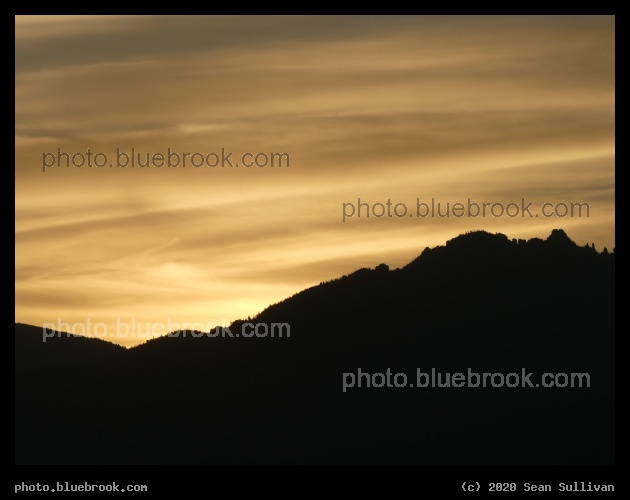 Champagne Sky - Corvallis MT