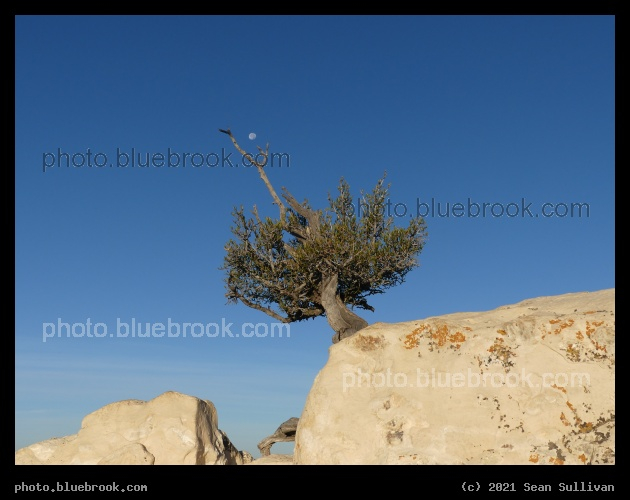 Balanced - North Rim, Grand Canyon, AZ