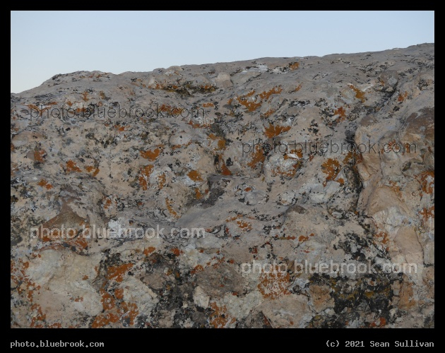 Lichens in Shadow - North Rim, Grand Canyon, AZ