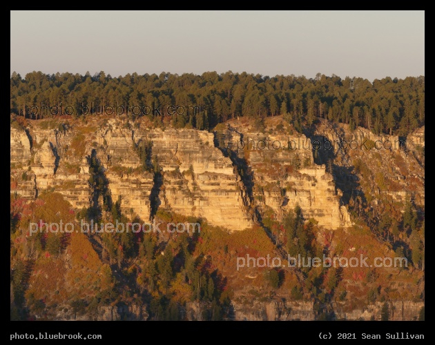 Trees Above and Below - North Rim, Grand Canyon, AZ