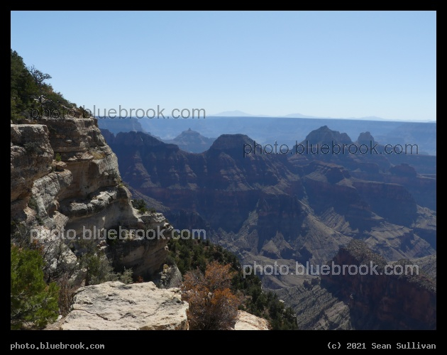 Blue Light on the Canyon - North Rim, Grand Canyon, AZ