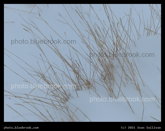 Lines and Snow - Corvallis, MT