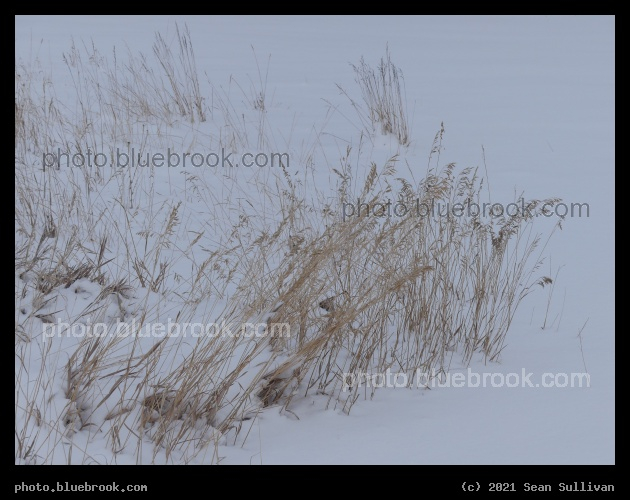 Snowy Loop around the Grasses - Corvallis, MT