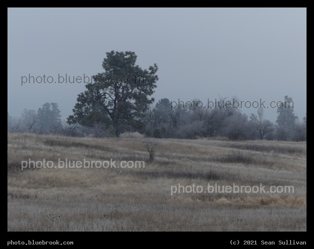 Misted Ambiance - Mission Mountains View Point, Ronan MT