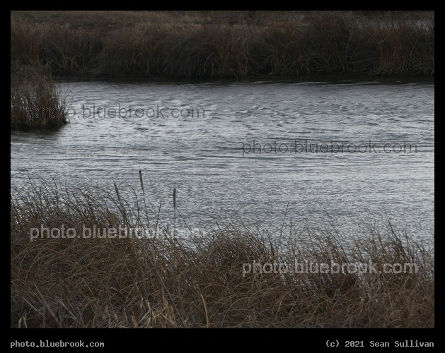 Ripples among Cattails - Ninepipe National Wildlife Refuge, Montana