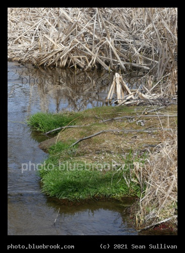 The Approach of Spring - Corvallis MT