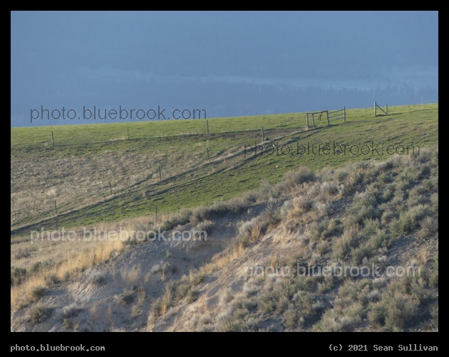 Fields and Slopes - Corvallis MT