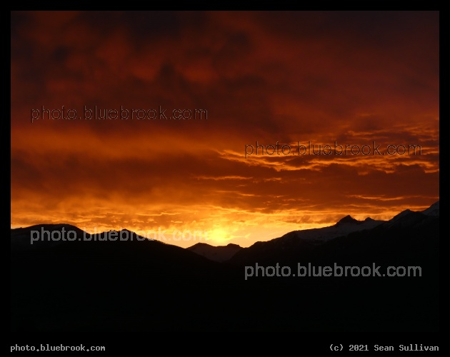 Bright Orange Above - Corvallis MT