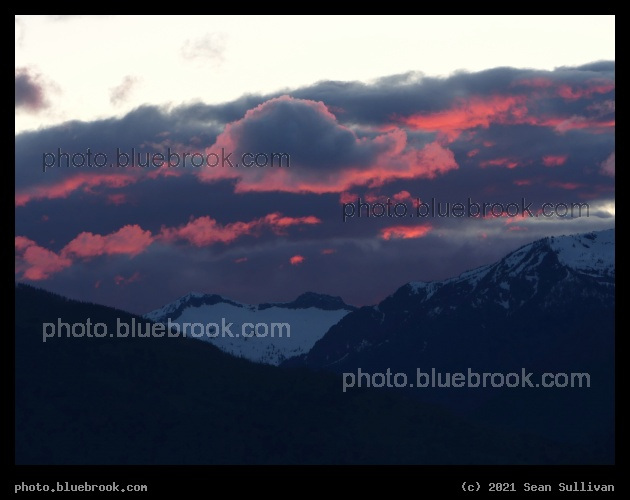 Fluffy Neon Pink Sky Water - Corvallis MT