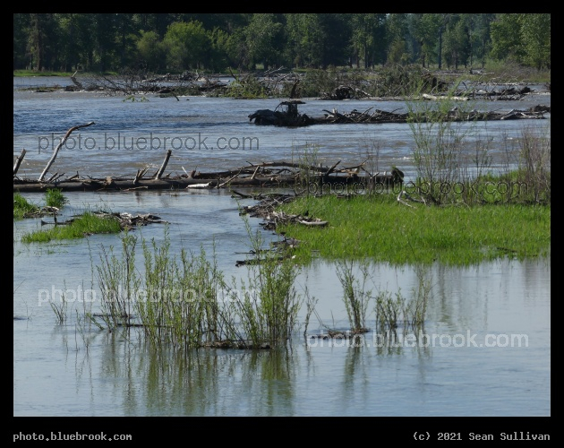 June Water - Bitterroot River at Victor Crossing, MT