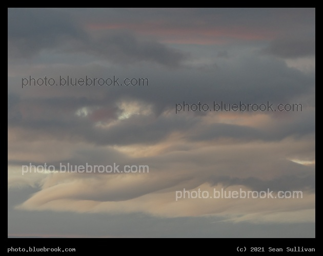 Swirl of Pastels - Corvallis MT