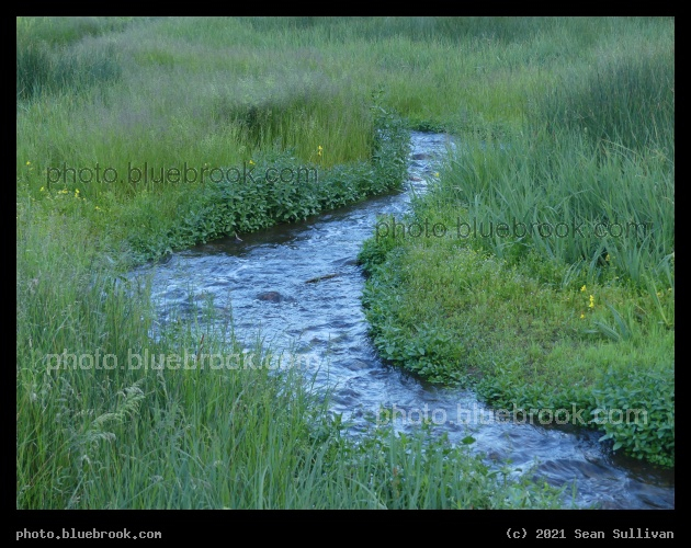 Stream at Dusk - Corvallis MT