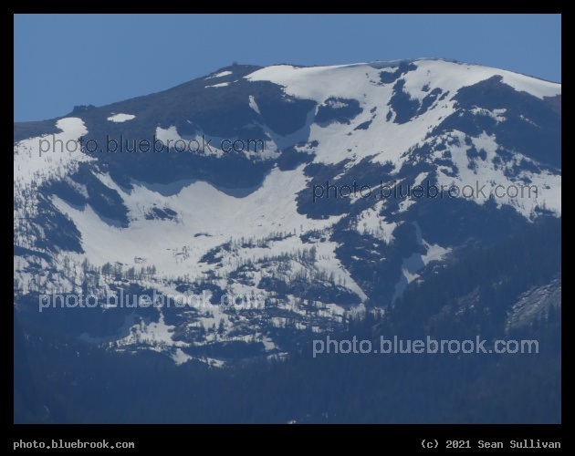 Bowl of Snow in June - Stevensville MT
