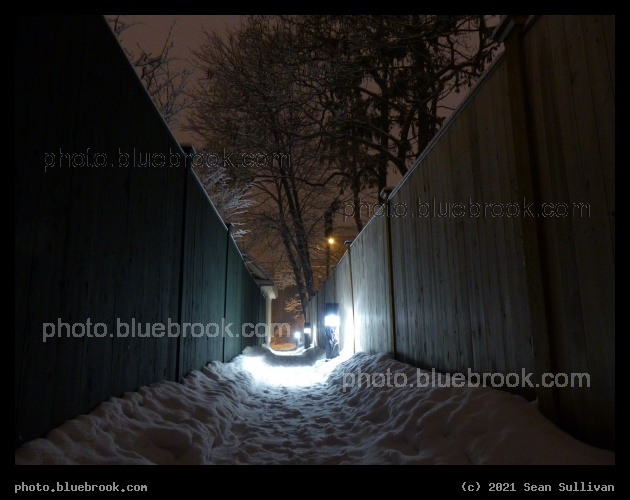 Shady Hill Footpath - Cambridge MA
