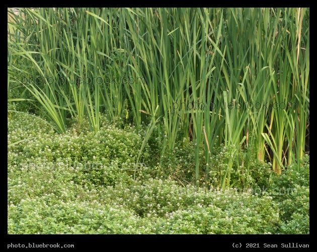 Above the Water - Corvallis MT