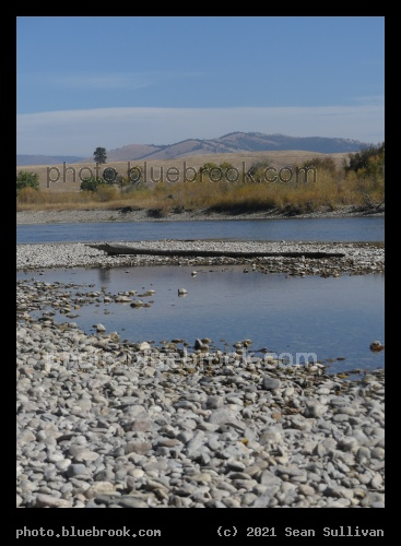 Sapphires and Stony Beach - Lolo MT