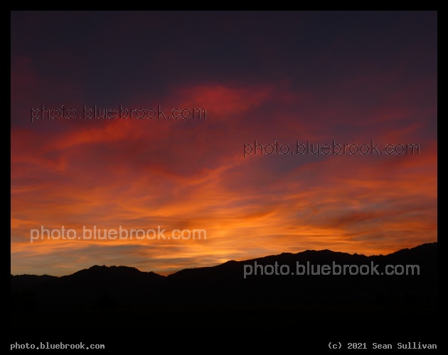Limned in Orange and Pink - Corvallis MT