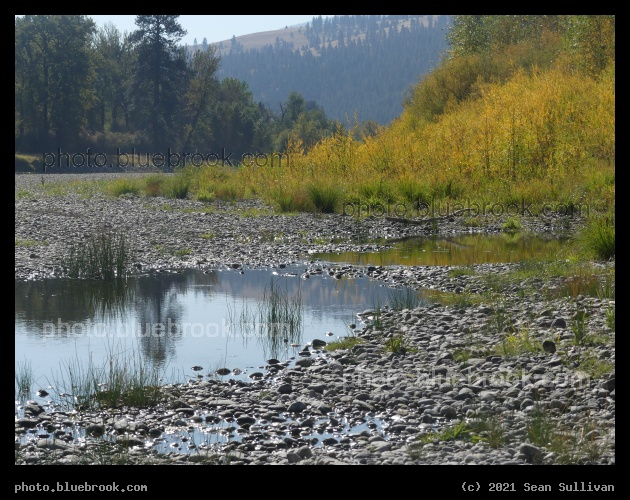 October Pool - Lolo MT
