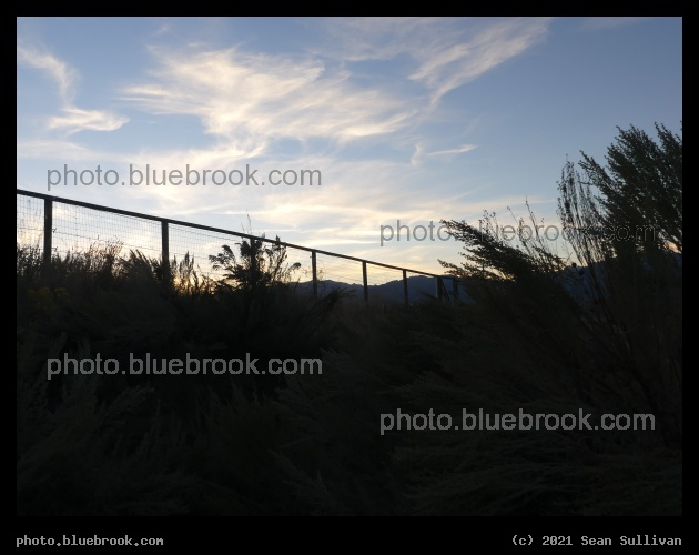 Wispy - Corvallis MT