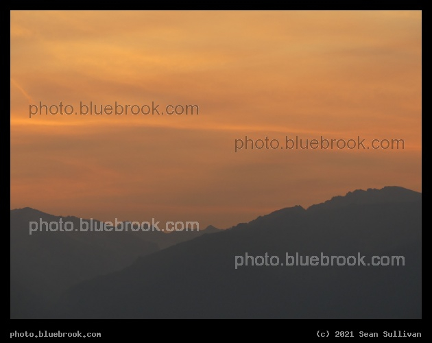 Orange Haze - Corvallis MT