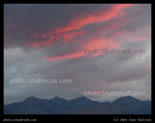 Red Highlights - Corvallis MT