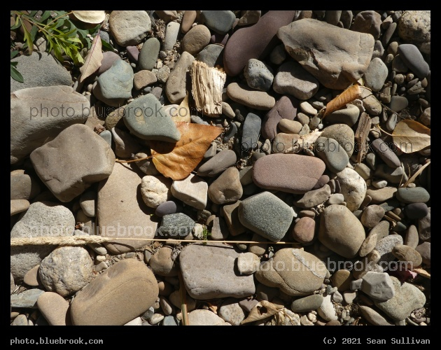 On the Bank of Lolo Creek - Lolo MT