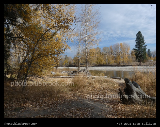 Autumn Shoreline at Bell Crossing - Bell Crossing MT