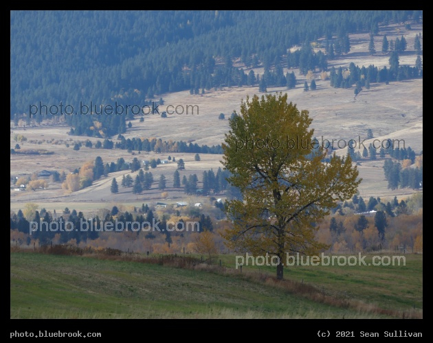 Across the Valley in Autumn - Corvallis MT