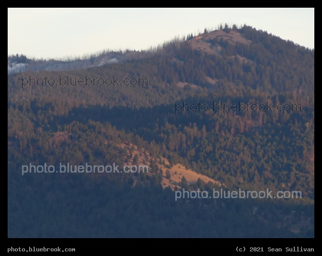 Late Afternoon Sunlight on Hills - Corvallis MT