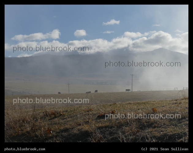 November Pasture - Corvallis MT