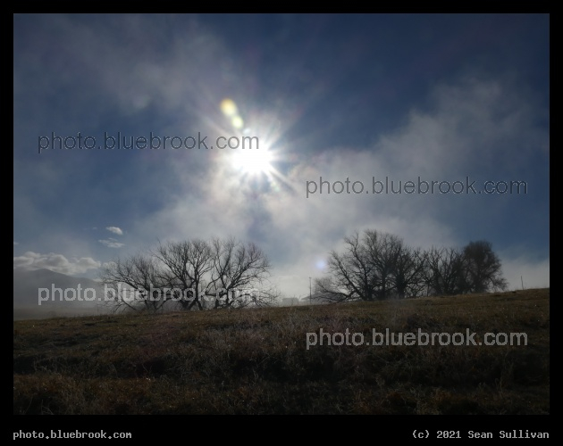 Late Autumn Branches - Corvallis MT