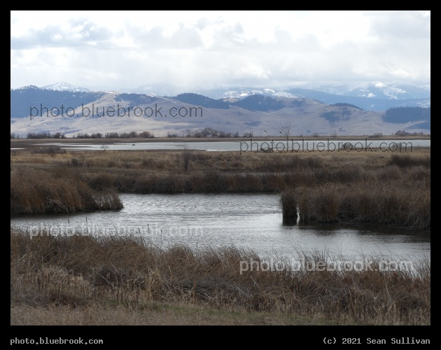 Tans and Browns at Ninepipe - Ninepipe National Wildlife Refuge, Montana