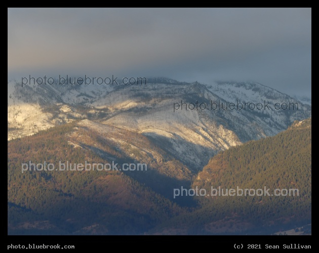 A Dash of Morning Sunlight - Corvallis MT