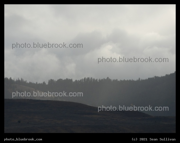 Gray Days - Corvallis MT
