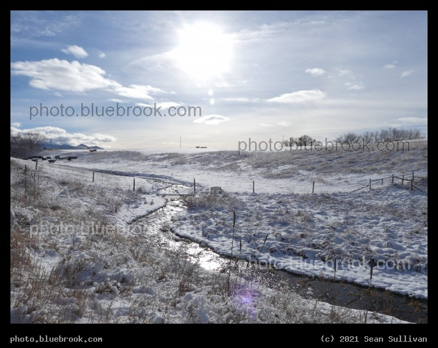 Midday December Sun - Corvallis MT