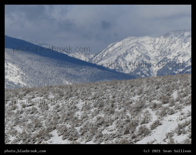 Bluish Mountains and Sagebrush - Corvallis MT