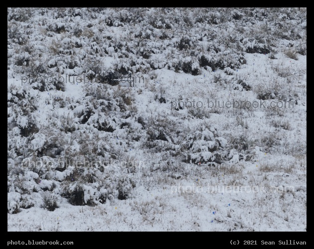 Winter Bench of Solitude - Corvallis MT