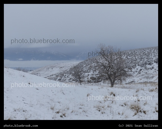Rolling Landscape in Winter - Corvallis MT