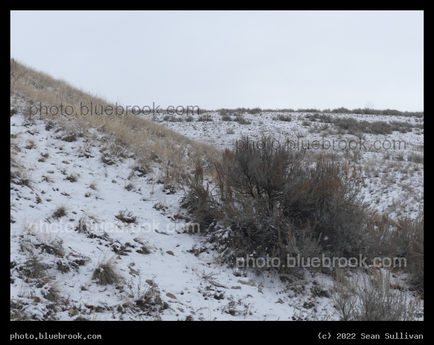 Dusted Slope - Corvallis MT