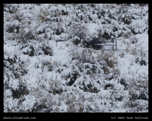 Bench of Solitude in the Snow - Corvallis MT